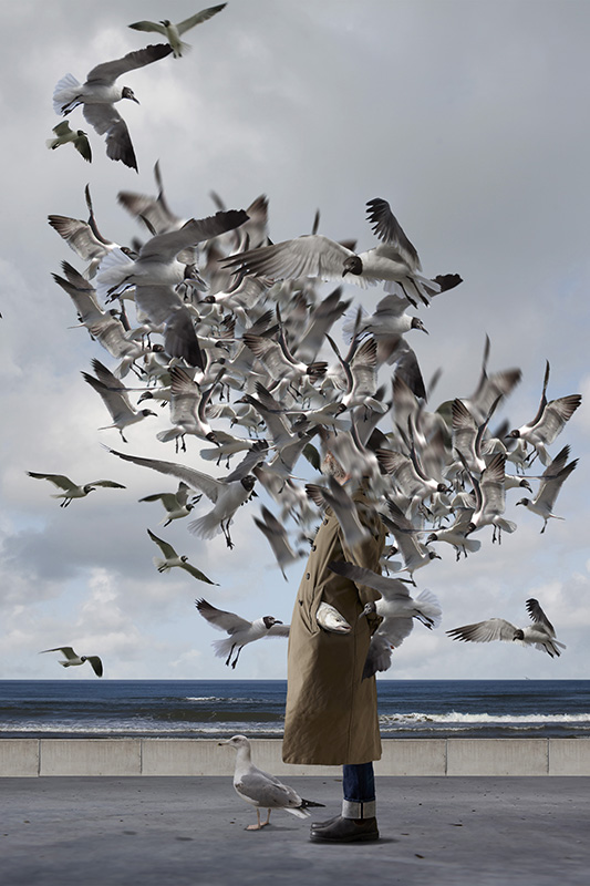 fotografia surrealista che raffigura uno stormo di uccelli che circondano una persona